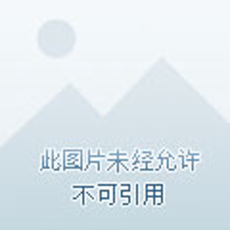 锦州船务代理：引领航运潮流的新力量